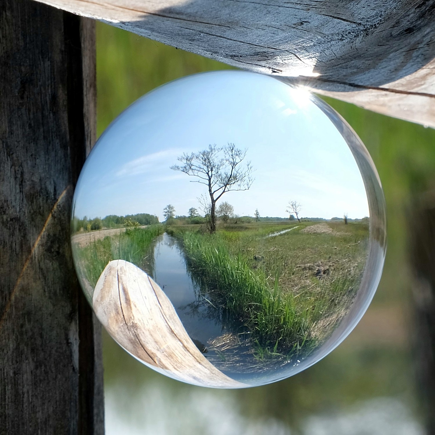 Doorkijkje de Wieden